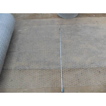 Galvanizado Hexagonal Wire Mesh